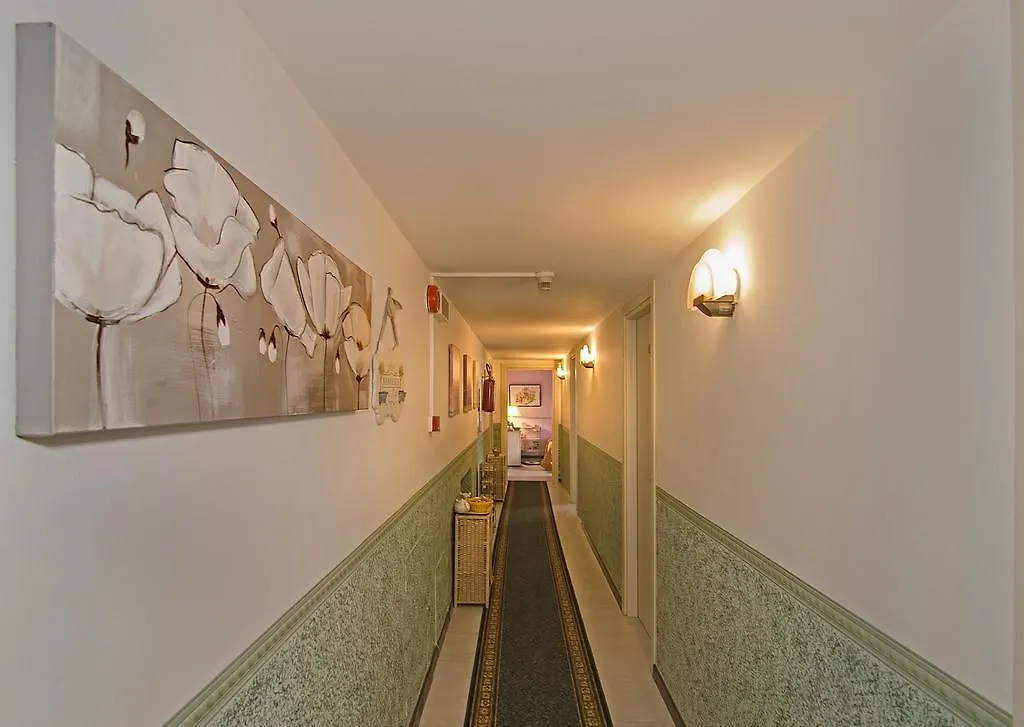 Hotel Rex Lucca